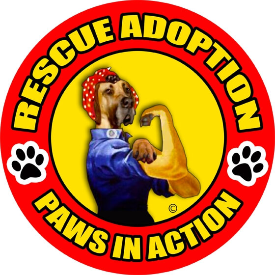 Rescue Adoption